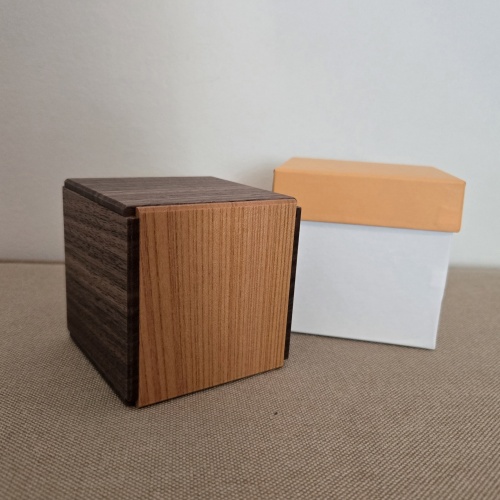 Evolved Secret Box