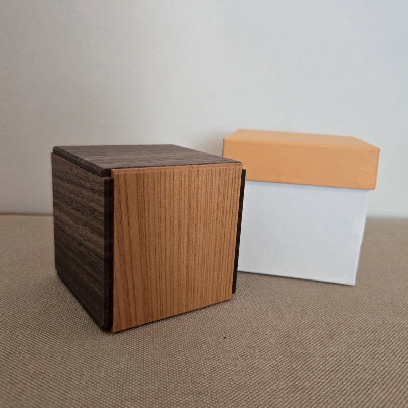 Evolved Secret Box