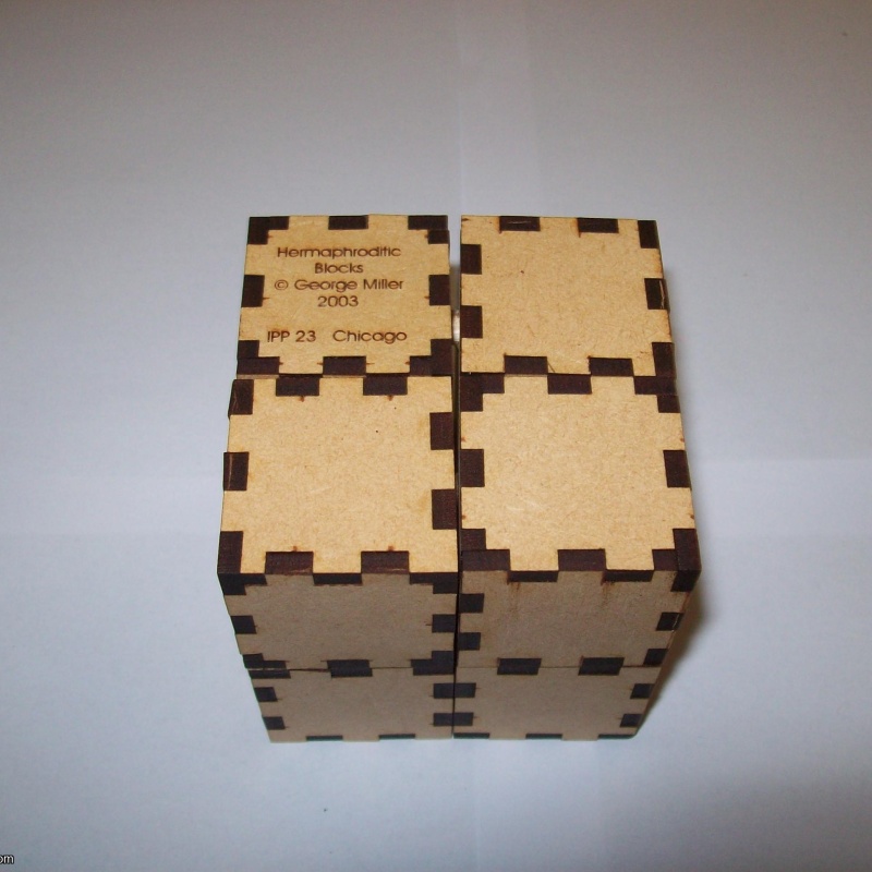 Hermaphroditic Blocks (Exchange Puzzle IPP 23)