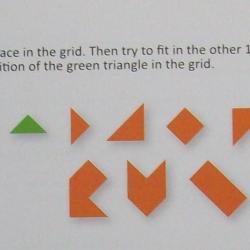 12 Polytans (Exchange Puzzle IPP 31)