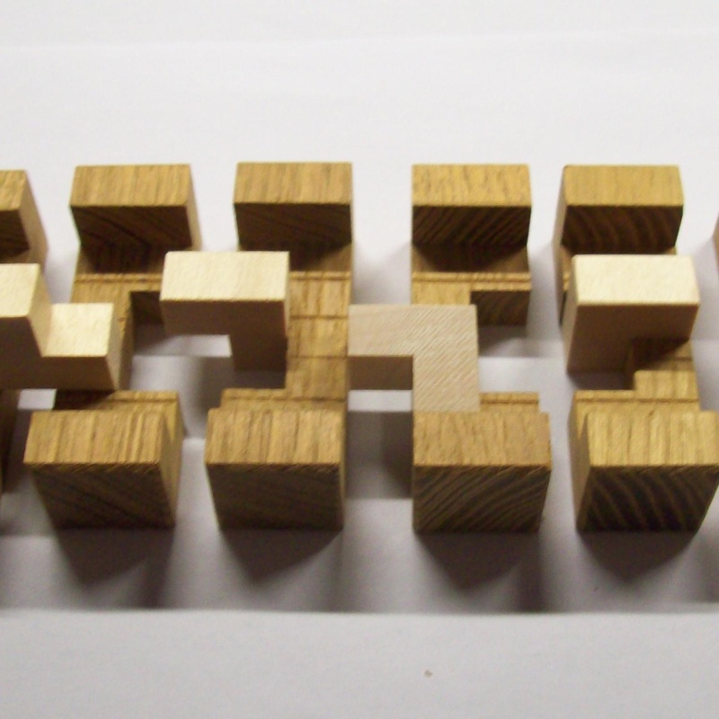 6-Piece Burr Variation 2 (Exchange Puzzle IPP 31)