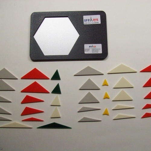 Eye-full Illusions (Exchange Puzzle IPP 37)