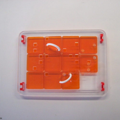 Bastille EscapeRing (Exchange Puzzle IPP 37)