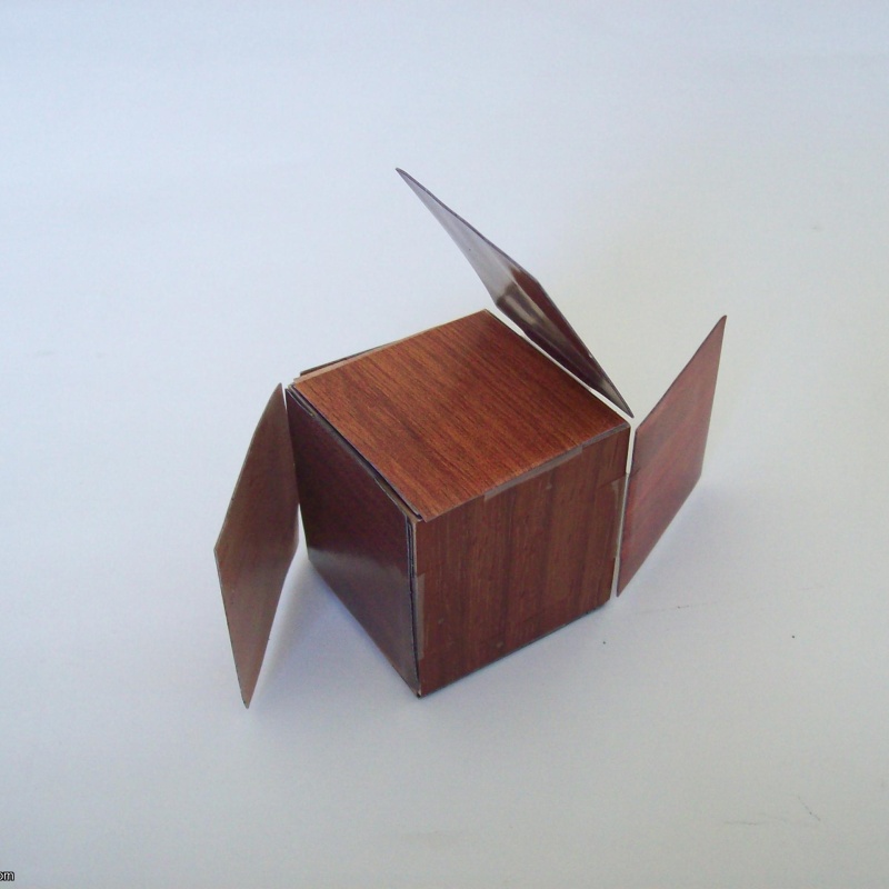 Chameleon (Exchange Puzzle IPP 34)