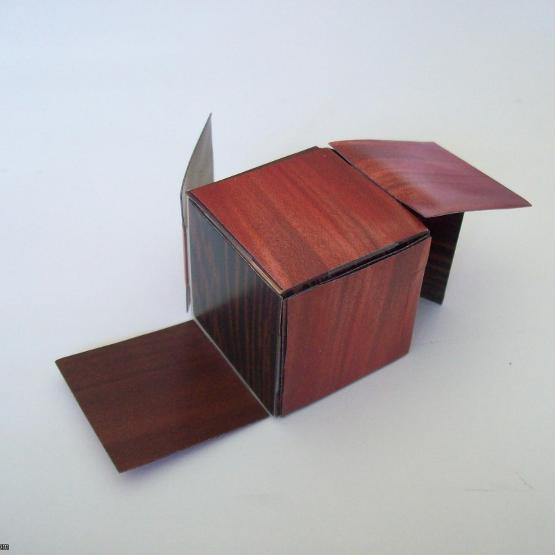 Chameleon (Exchange Puzzle IPP 34)