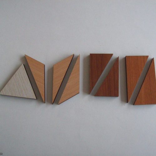 SHOTA’s Equilateral Polygon (Exchange Puzzle IPP 37)