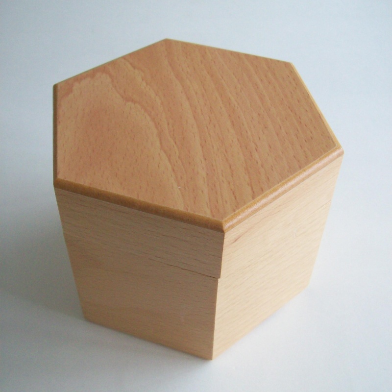 “Towers of Riga” (Exchange Puzzle IPP 25)