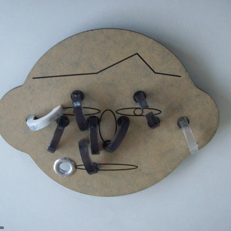 “Ring Pierced Face” (Exchange Puzzle IPP 25)