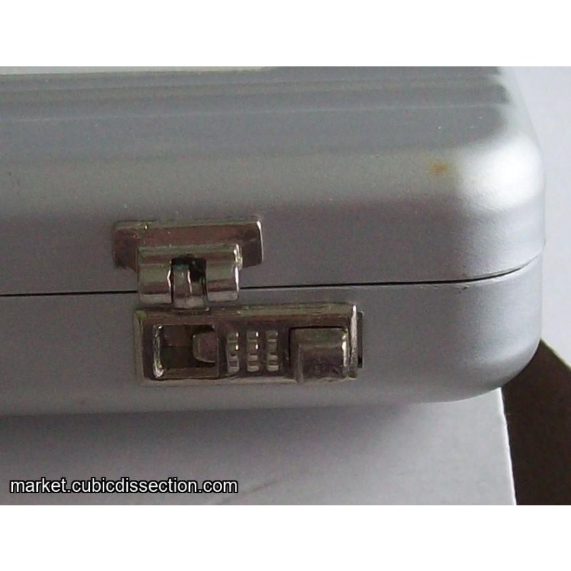 “Bollixed Briefcase Puzzle”