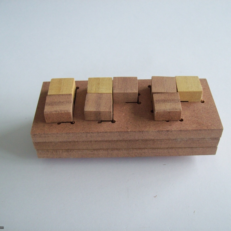 IPP Burr Puzzle