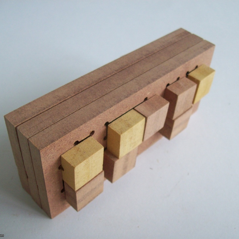 IPP Burr Puzzle