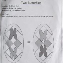 “Two Butterfles”