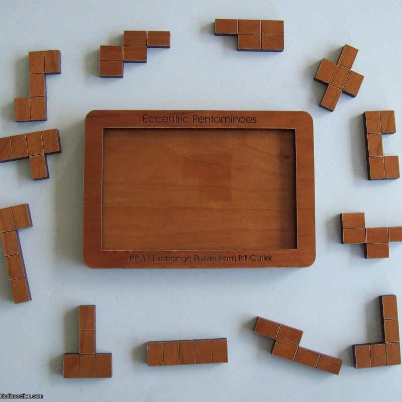 Eccentric Pentominoes