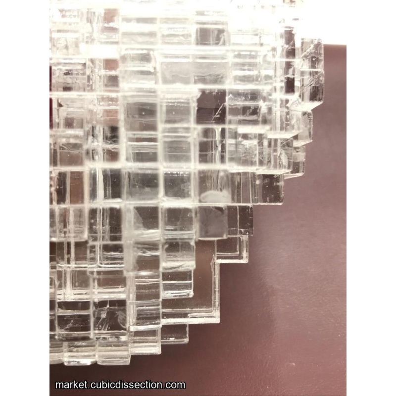 Cranium by Jerry Loo