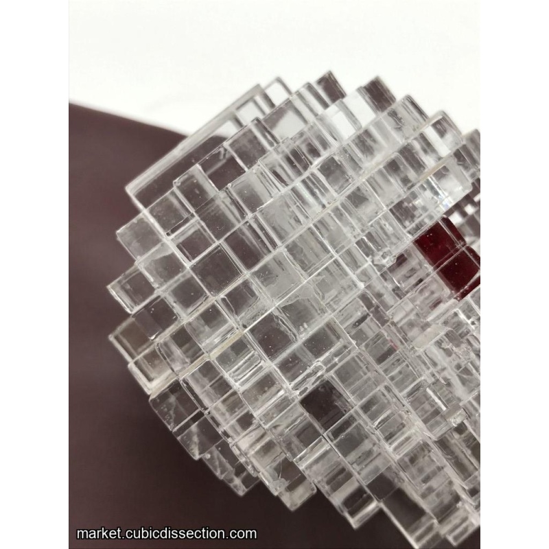 Cranium by Jerry Loo