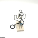 Saguaro by Gary Foshee