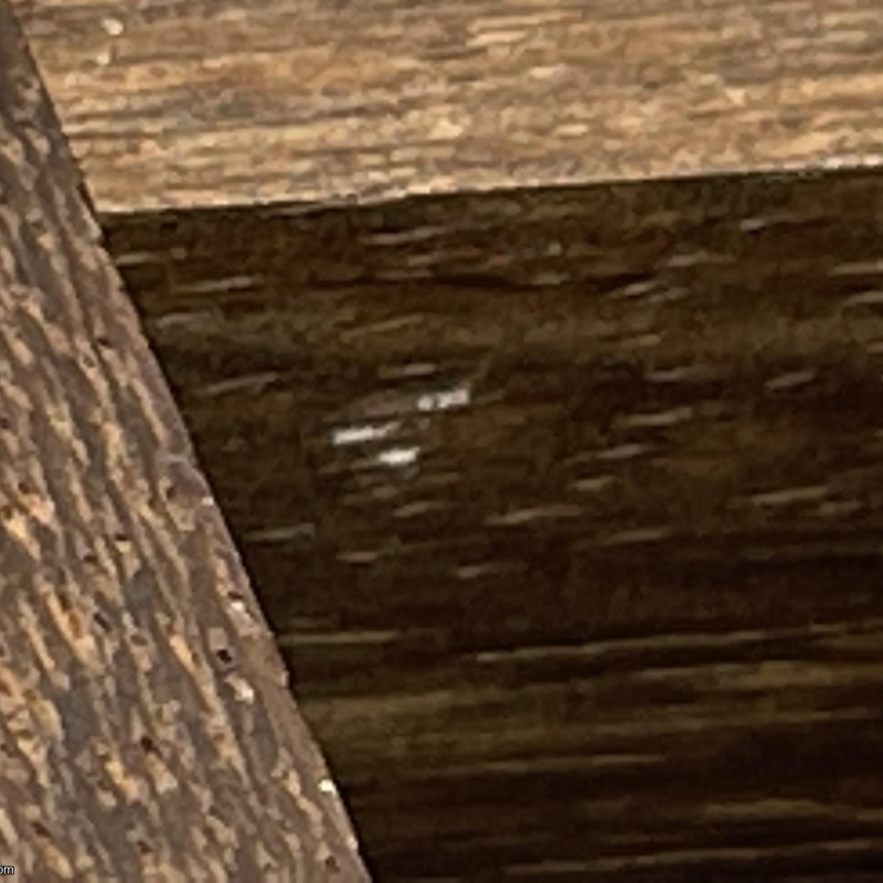 Twelve Straight/Twisted in Dark Black Limba (Fuller / Hirose)