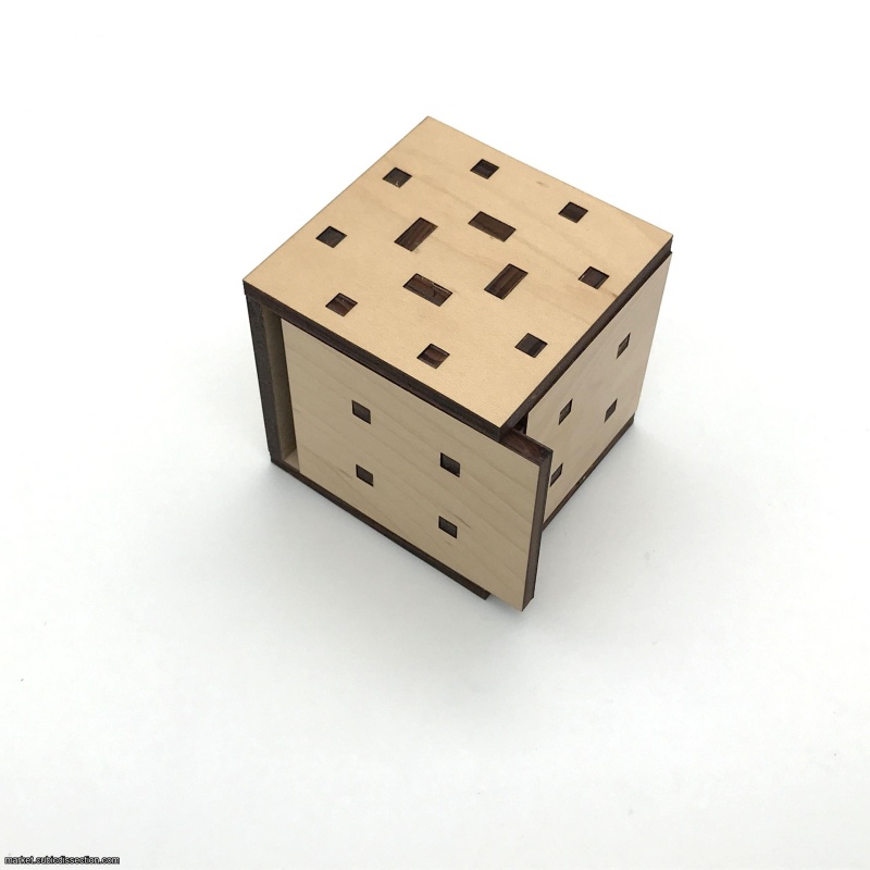 Antares Puzzle Box by Infinite loop games