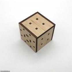Antares Puzzle Box by Infinite loop games
