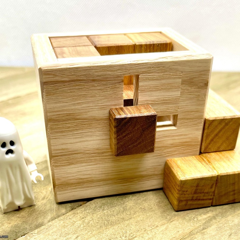 Wandering Cubes Packing Puzzle