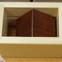 In a Cage by Shiro Tajima--FUNDRAISER