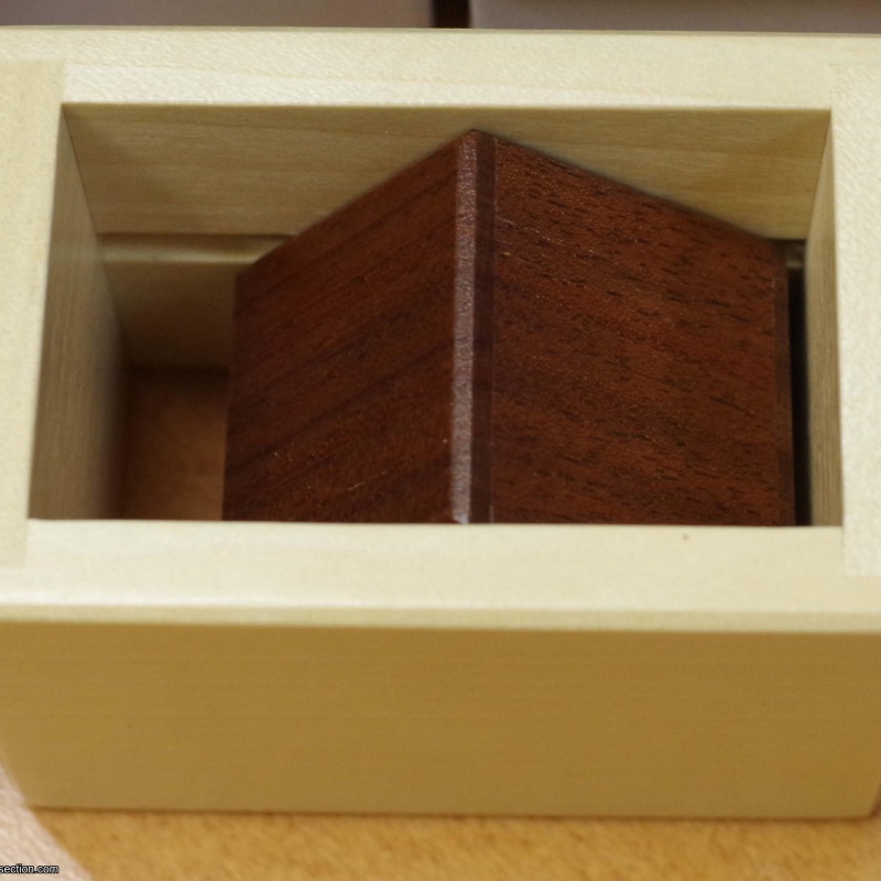 In a Cage by Shiro Tajima--FUNDRAISER