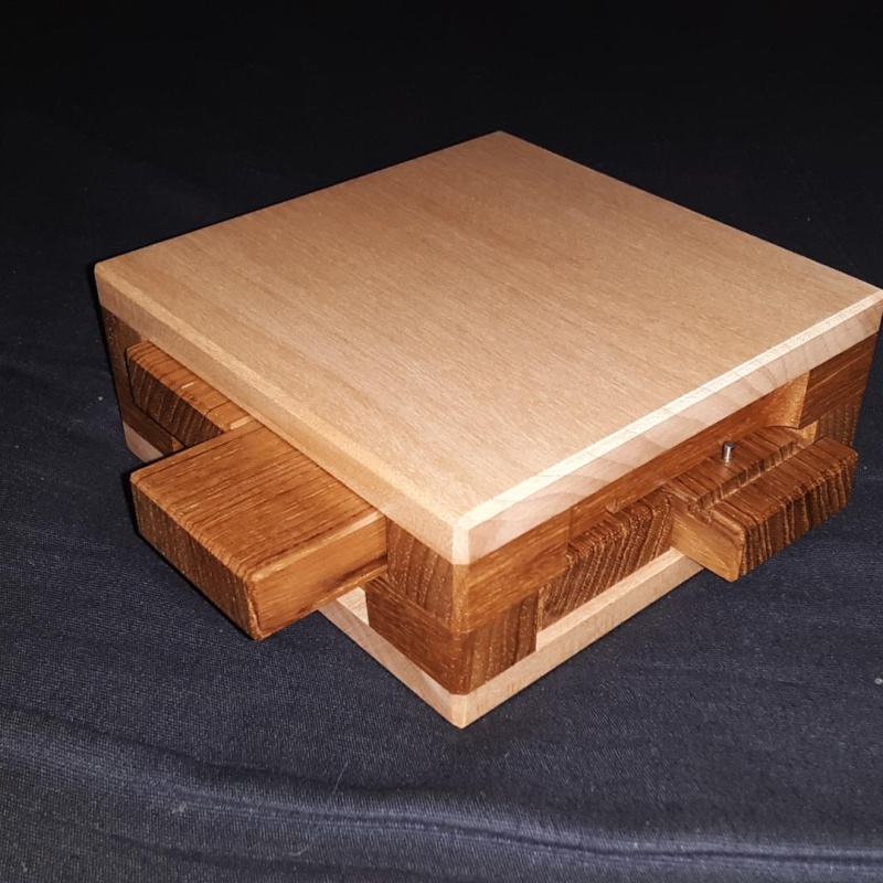 Pinned Framed Burr M (50 moves)