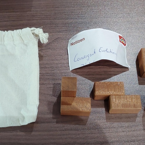 Convergent Evolution D'Artagnan