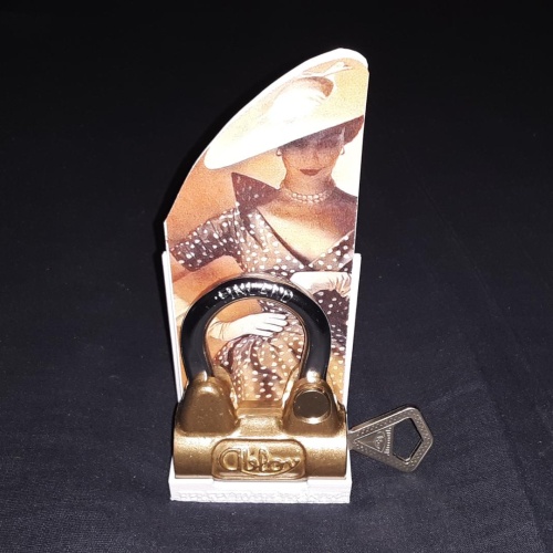 Her Key To The Treasure Puzzle Lock