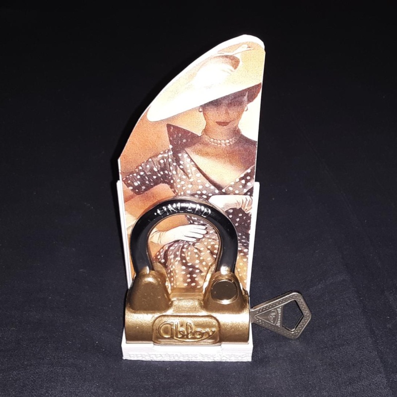 Her Key To The Treasure Puzzle Lock