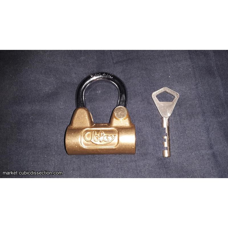 Her Key To The Treasure Puzzle Lock