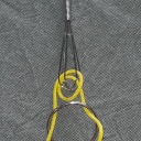 whisker disentanglement - unknown