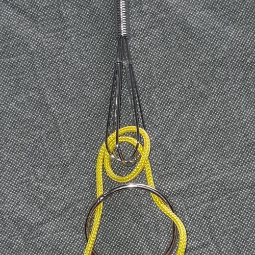 whisker disentanglement - unknown