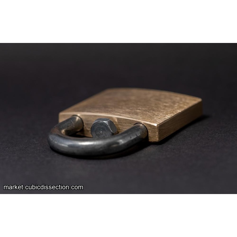 Lunatic Lock - Brass Version (Gary Forshee)