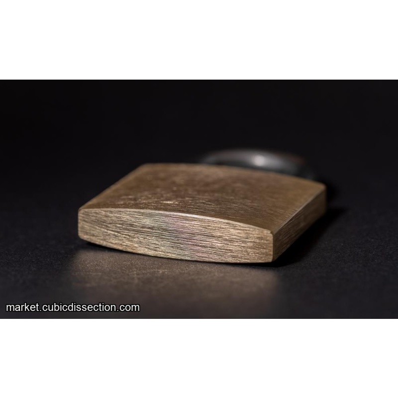 Lunatic Lock - Brass Version (Gary Forshee)