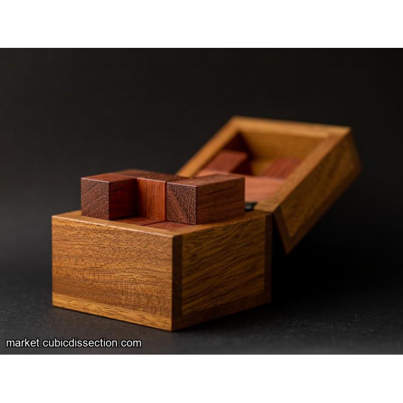 Penta in a Box by Hajime Katsumoto