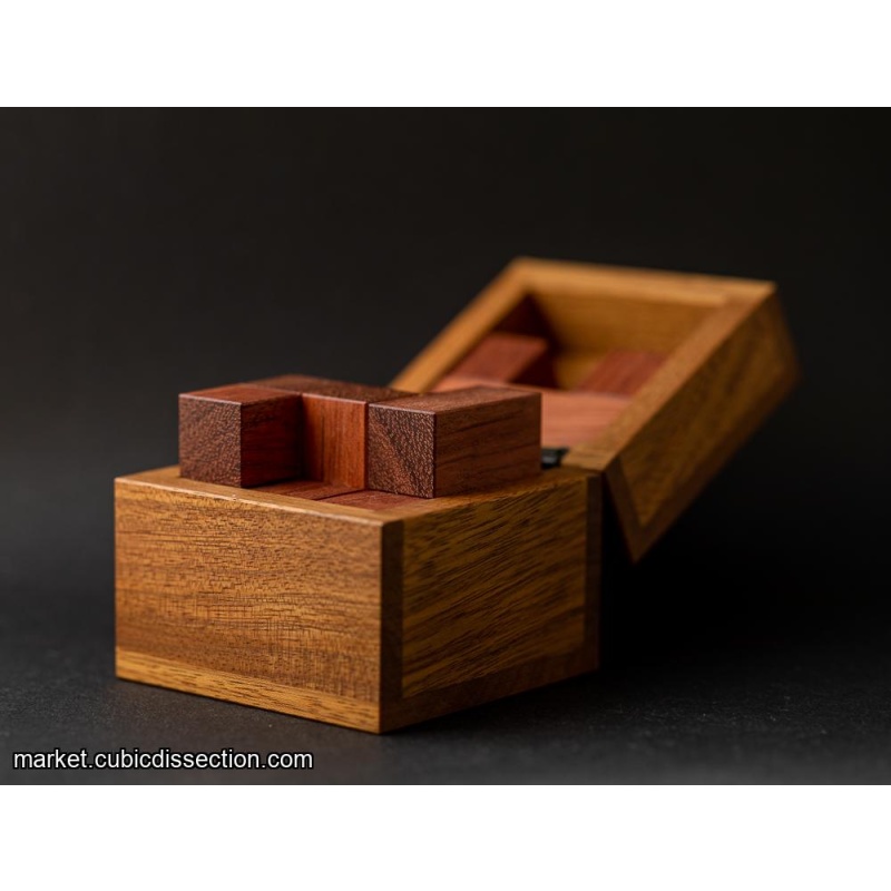 Penta in a Box by Hajime Katsumoto