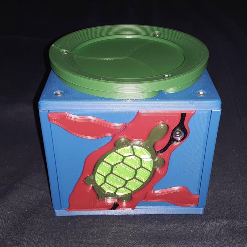 Turtle Trip