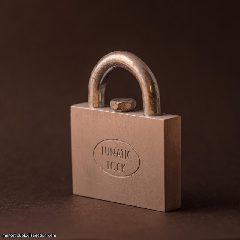Lunatic Lock - by Gary Forshee