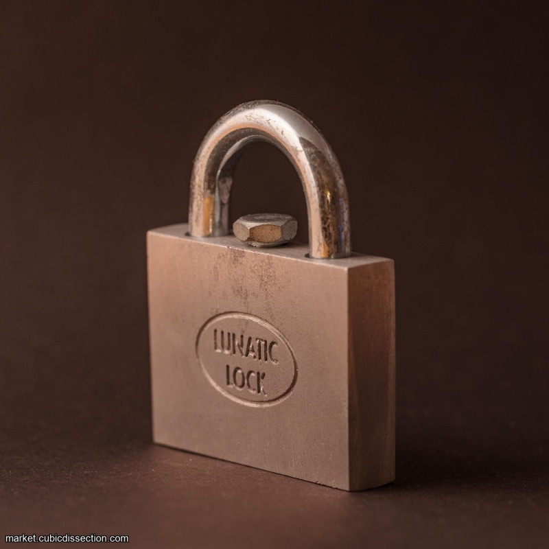 Lunatic Lock - by Gary Forshee