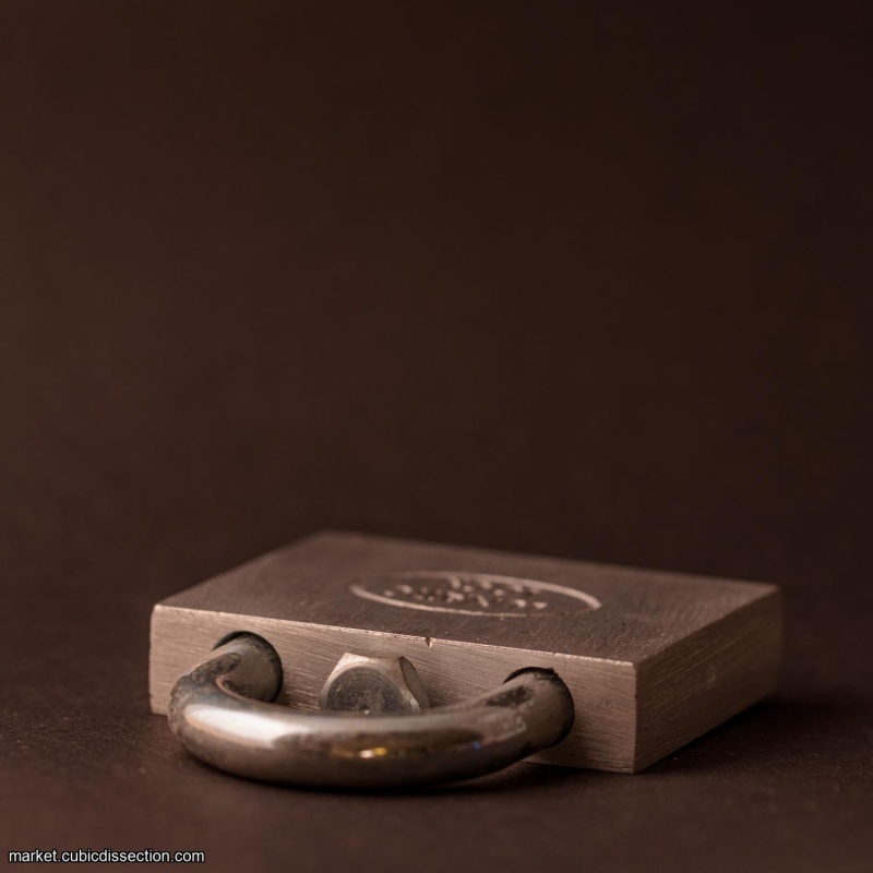 Lunatic Lock - by Gary Forshee