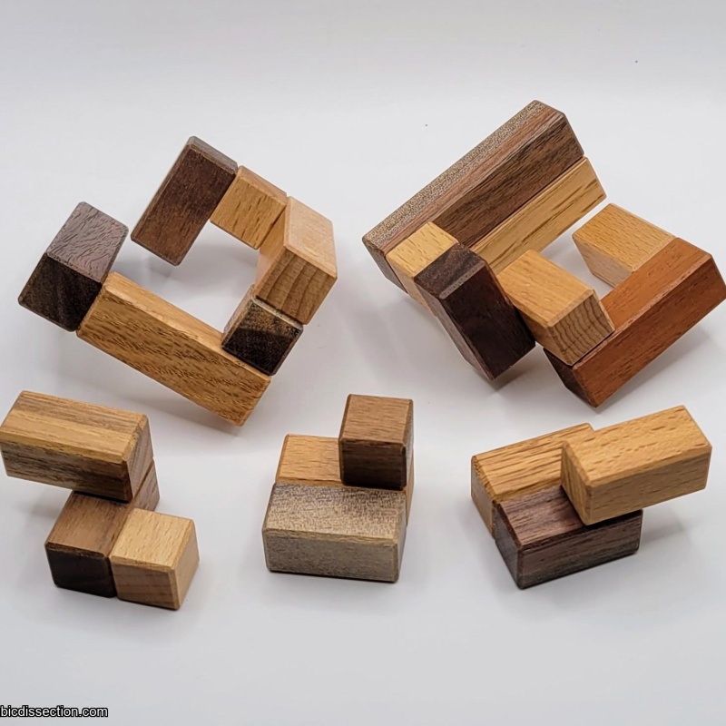 Macron TIC - Laszlo Molnar