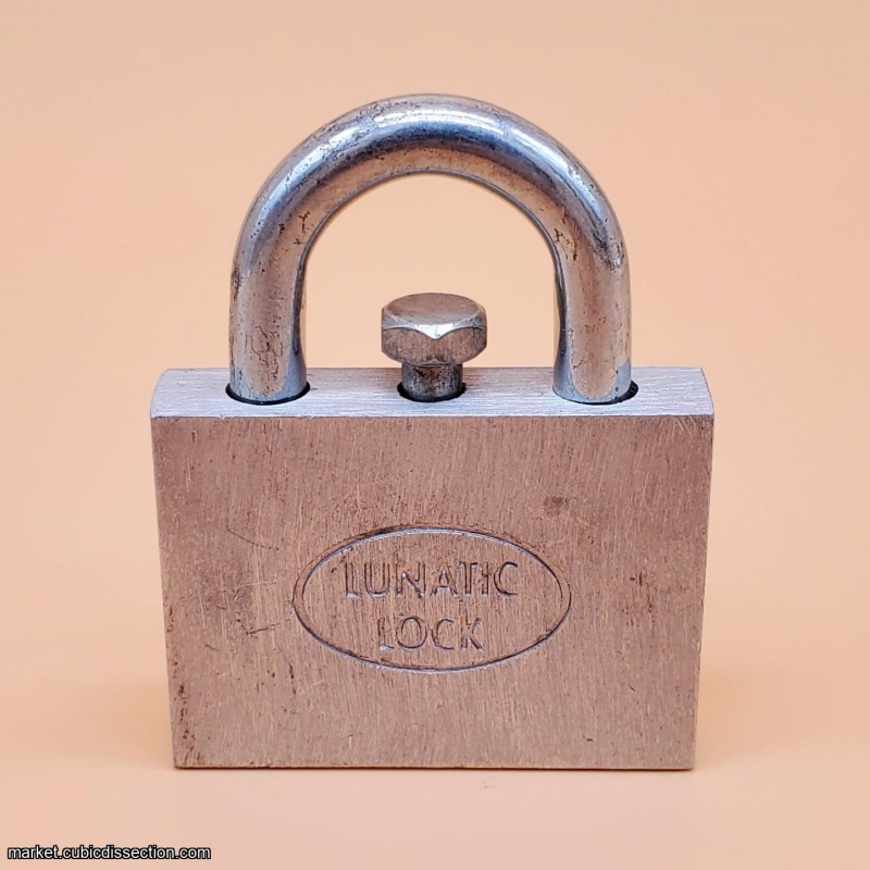Lunatic Lock by Gary Foshee (B&P)
