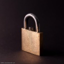 Lunatic Lock - Brass Version (Gary Forshee)