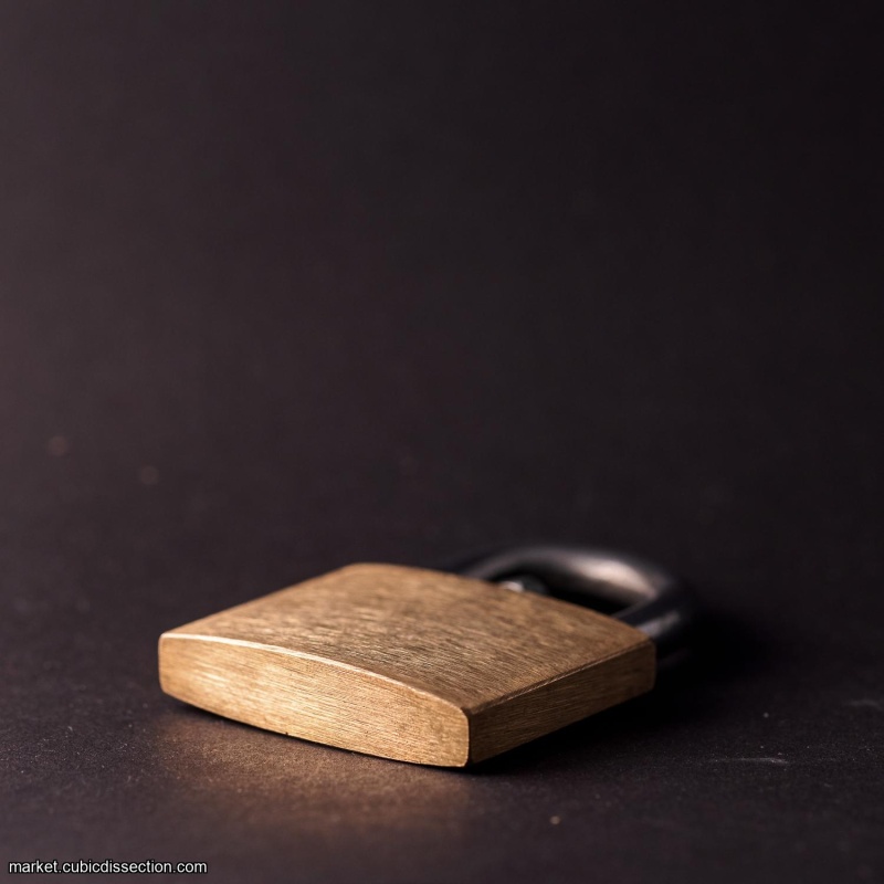 Lunatic Lock - Brass Version (Gary Forshee)