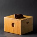 Cat & cardboard box by Yoh Kakuda