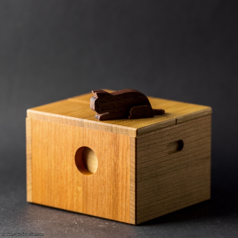 Cat & cardboard box by Yoh Kakuda