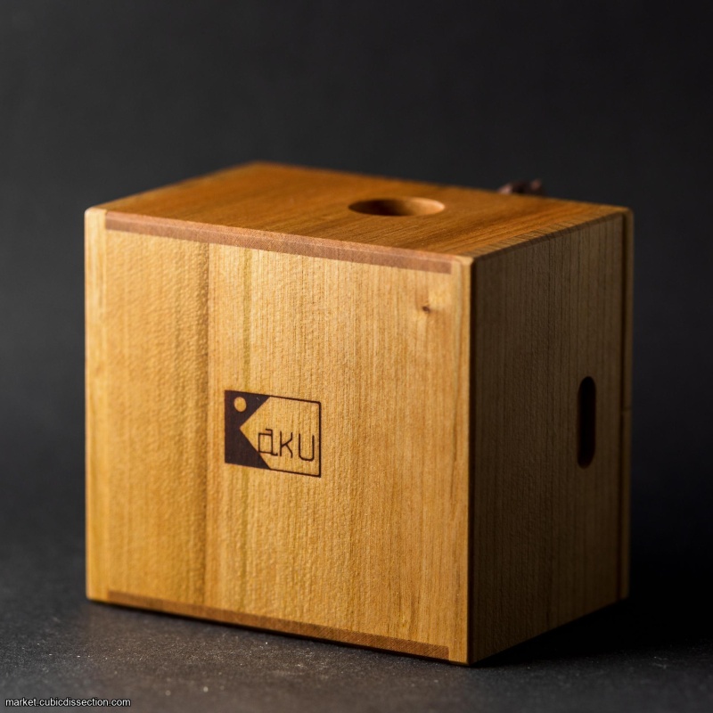 Cat & cardboard box by Yoh Kakuda