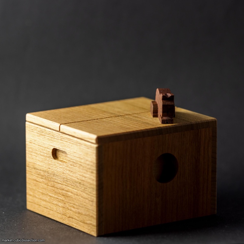 Cat & cardboard box by Yoh Kakuda