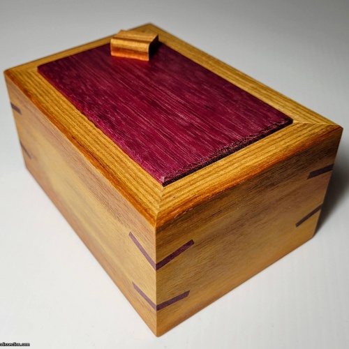 Blinded II - Dee Dixon